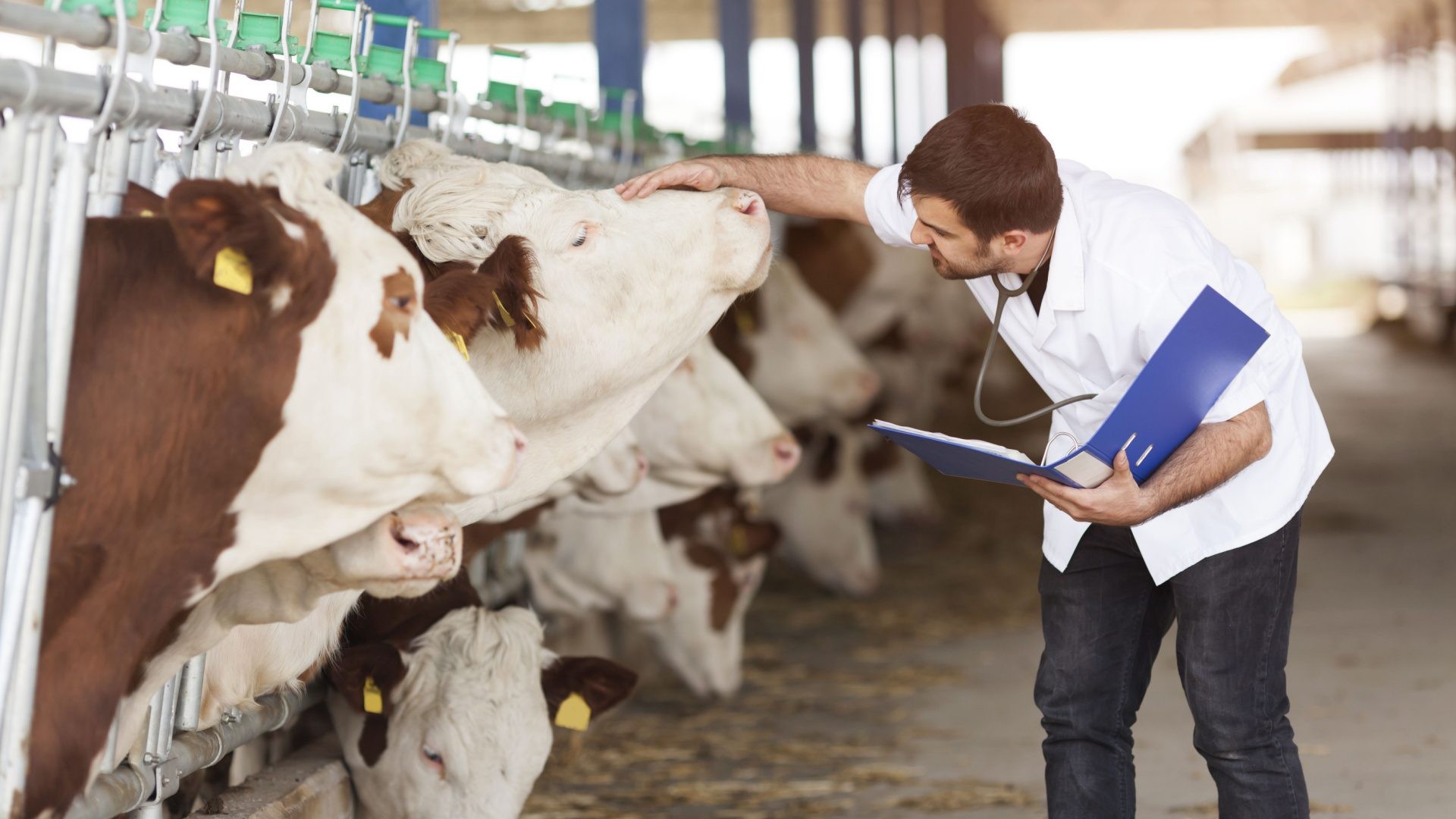 Seguridad veterinaria en Asturias y Lugo